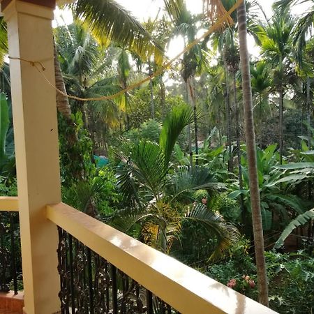 Indraprasth apartment Palolem Bagian luar foto